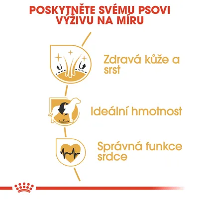Poskytněte svému psovi výživu na míru: Zdravá kůže a srst, Ideální hmotnost, Správná funkce srdce.