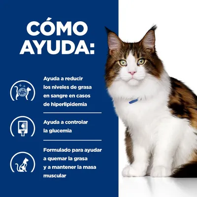 Texto: Cómo ayuda. Ayuda a reducir los niveles de grasa en sangre en casos de hiperlipidemia, controlar la glucemia y quemar grasa manteniendo masa muscular. Imagen de un gato.