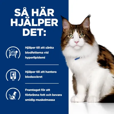 Så här hjälper det: Hjälper till att sänka blodfetterna vid hyperlipidemi, hantera blodsockret och förbränna fett samt bevara smidig muskelmassa. Bild på katt till höger.