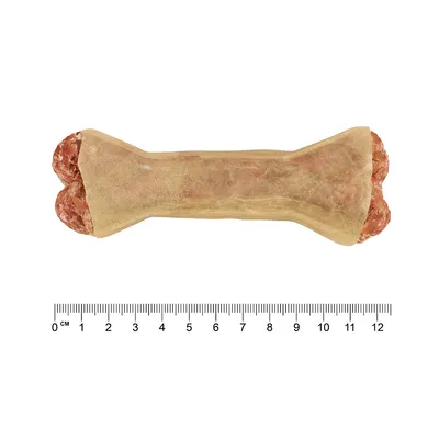 Kauknochen mit Fleischfüllung, Länge ca. 12 cm, Massstab in Zentimetern sichtbar.