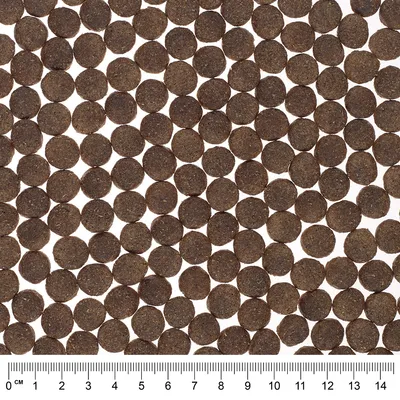 Närbild av bruna, runda torrfoderpellets med linjal nedtill för storleksangivelse i centimeter.