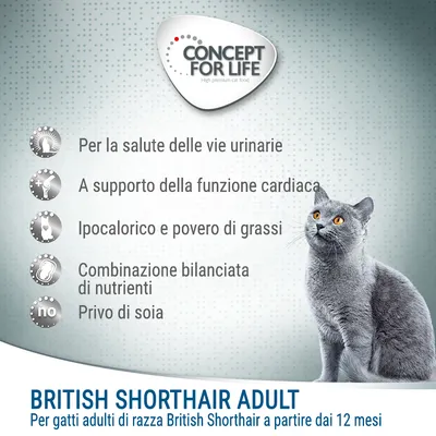 Concept for Life British Shorthair Adult. Per la salute delle vie urinarie, supporto cardiaco, ipocalorico, povero di grassi, bilanciato, privo di soia. Per gatti adulti British Shorthair da 12 mesi.