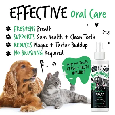 Effective oral care spray. Freshens breath, supports gum health and clean teeth, reduces plaque and tartar buildup, no brushing required. Keeps breath fresh and teeth healthy.