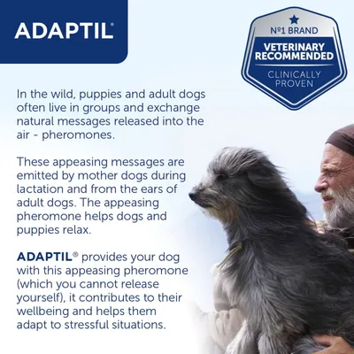 Adaptil is veterinary recommended and clinically proven. It provides a pheromone to help dogs relax, supporting wellbeing and adaptation to stress, as described in the image text.