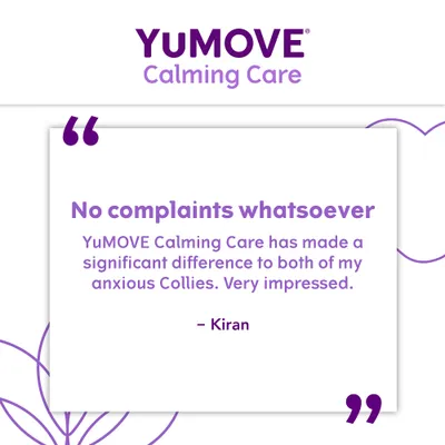YuMOVE Calming Care for Adult Dogs