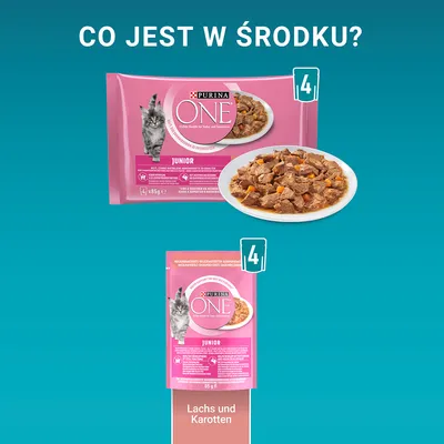 Purina ONE Junior, opakowanie 85 g, widoczny kot i miska karmy. Tekst: Lachs und Karotten. Zestaw 4 saszetek.