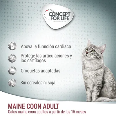 Concept for Life Maine Coon Adult. Apoya la función cardiaca, protege las articulaciones y cartílagos, croquetas adaptadas, sin cereales ni soja. Para gatos maine coon adultos desde 15 meses.