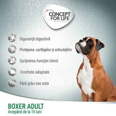 Concept for Life Boxer Adult începând de la 15 luni. Siguranță digestivă, protejarea cartilajelor și articulațiilor, sprijinirea funcției inimii, crochete adaptate, fără grâu sau soia.