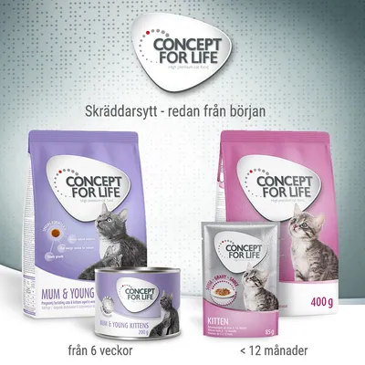 Concept for Life kattmat för kattungar och unga katter, synliga förpackningar: Mum & Young Kittens från 6 veckor, Kitten <12 månader, torrfoder 400 g, våtfoder 200 g och 85 g.