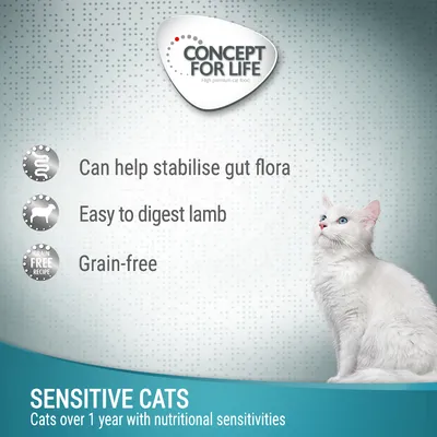 Concept for Life Sensitive Cats Lam kornfritt - i gelè