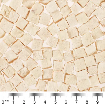 Trozos cuadrados de alimento liofilizado para mascotas, color beige, mostrados junto a una regla en centímetros para referencia de tamaño. Cada pieza mide aproximadamente 1 cm.