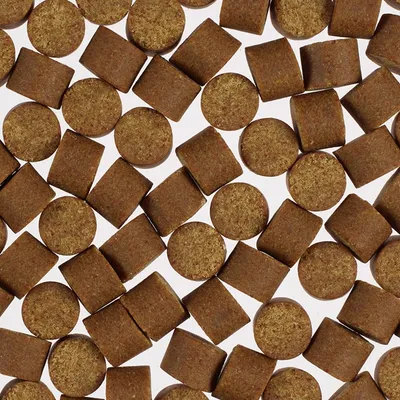 Concept for Life Probiotic Supplements Chews