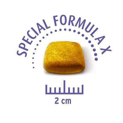 Желтый кормовой кусочек с надписью 'Special Formula X' и размером 2 см.