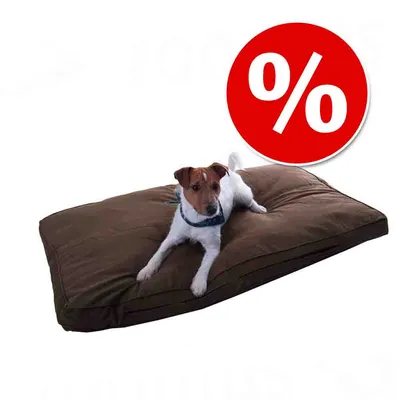 Colchón marrón para perro con símbolo de porcentaje en círculo rojo, indicando oferta o descuento visible.