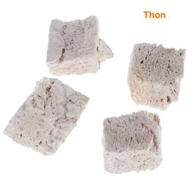 Morceaux de thon lyophilisé, quatre cubes visibles sur fond blanc, texte « Thon » en haut à droite.