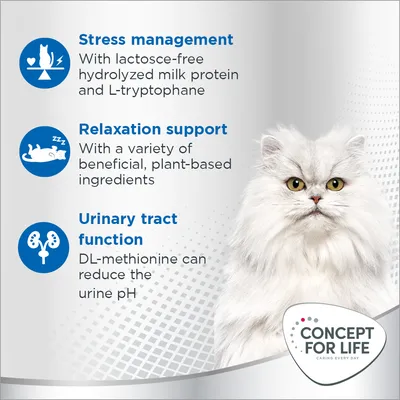 Concept for Life Calm