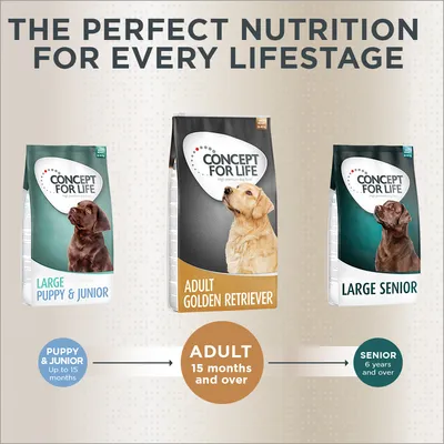 Concept for Life dog food range: Large Puppy & Junior, Adult Golden Retriever, Large Senior. Text: The perfect nutrition for every lifestage. Puppy up to 15 months, Adult 15+ months, Senior 6+ years.