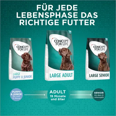 Concept for Life Hundefutter für jede Lebensphase: Large Puppy & Junior bis 15 Monate, Large Adult ab 15 Monate, Large Senior ab dem 6. Lebensjahr.