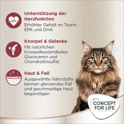 Unterstützung der Herzfunktion mit Taurin, EPA und DHA. Knorpel & Gelenke mit Glucosamin und Chondroitinsulfat. Haut & Fell für glänzendes Fell und geschmeidige Haut. Concept for Life Logo.