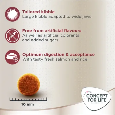 Large kibble adapted to wide jaws, free from artificial flavours, colourants and added sugars. Supports optimum digestion with fresh salmon and rice. Kibble size shown as 10 mm.