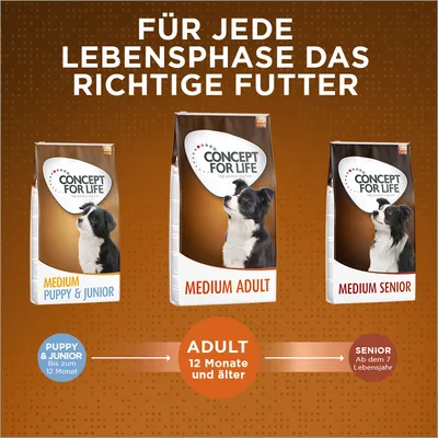 Concept for Life Hundefutter für jede Lebensphase: Medium Puppy & Junior bis 12 Monate, Medium Adult ab 12 Monate, Medium Senior ab dem 7. Lebensjahr.