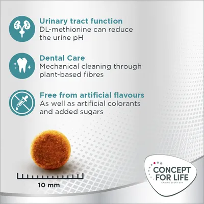 Urinary tract function support, dental care with plant-based fibres, free from artificial flavours, colourants and added sugars. Kibble size shown as 10 mm. Concept for Life brand.