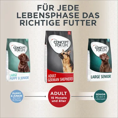 Concept for Life Hundefutter für jede Lebensphase: Large Puppy & Junior bis 15 Monate, Adult German Shepherd ab 15 Monate, Large Senior ab dem 6. Lebensjahr.