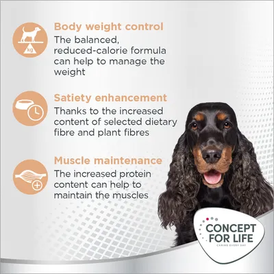 Body weight control with reduced-calorie formula, satiety enhancement from dietary fibre, and muscle maintenance with increased protein. Concept for Life brand shown.