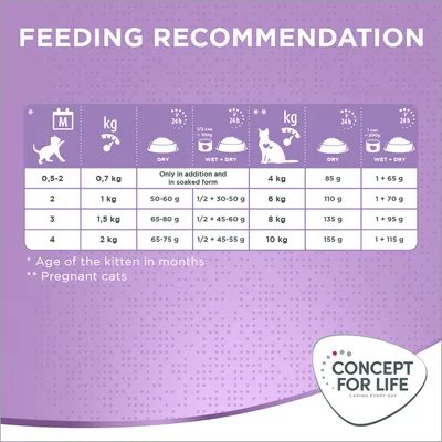 Feeding recommendation chart showing daily dry and wet food amounts by kitten age, weight, and for pregnant cats. Includes specific gram values for each category.