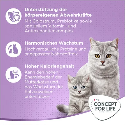 Unterstützung der Abwehrkräfte, harmonisches Wachstum und hoher Kaloriengehalt für Mutterkatzen und Katzenwelpen. Concept for Life Logo unten rechts.