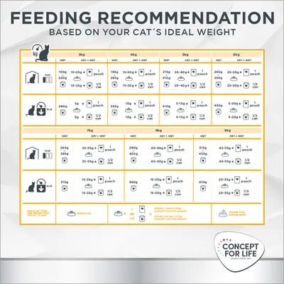 Feeding recommendation chart showing daily wet, dry, and mixed food amounts for cats by weight from 3kg to 9kg, with icons for pouches, cans, kibble, and water. Concept for Life brand.