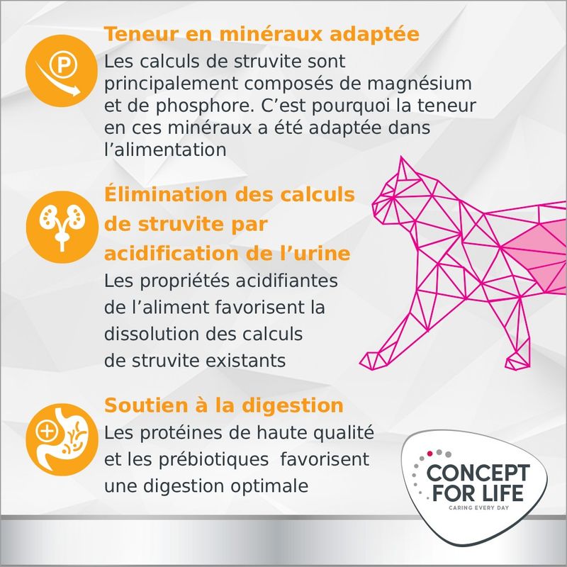 Concept for Life Veterinary Diet Urinary pour chat