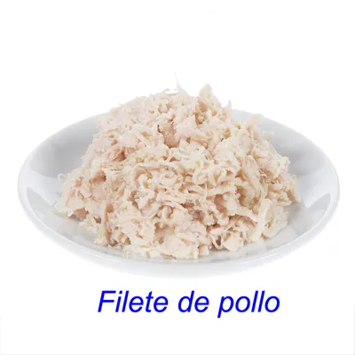 Filete de pollo desmenuzado servido en un plato blanco. Texto visible: Filete de pollo.