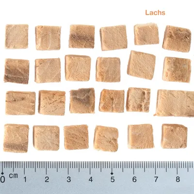 Кубики лакомства, выложенные рядом с линейкой для измерения размера; в верхнем углу надпись на немецком языке: Lachs.