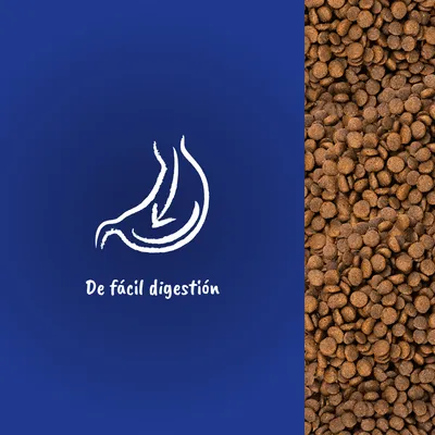 Pienso marrón en gránulos junto a icono de estómago con flecha y texto: De fácil digestión.