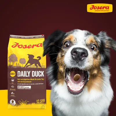 Sac de croquettes Josera Daily Duck Adult 12,5 kg avec texte en allemand et anglais, chien visible à côté tenant une croquette dans la bouche. Logo Josera en haut à droite.