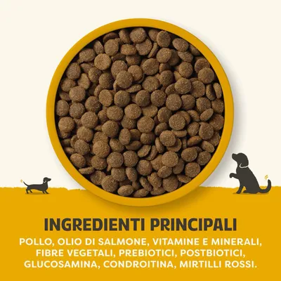 Ingredienti principali: pollo, olio di salmone, vitamine e minerali, fibre vegetali, prebiotici, postbiotici, glucosammina, condroitina, mirtilli rossi. Ingredienti principali: pollo, olio di salmone, vitamine e minerali, fibre vegetali, prebiotici, postbiotici, glucosammina, condroitina, mirtilli rossi.