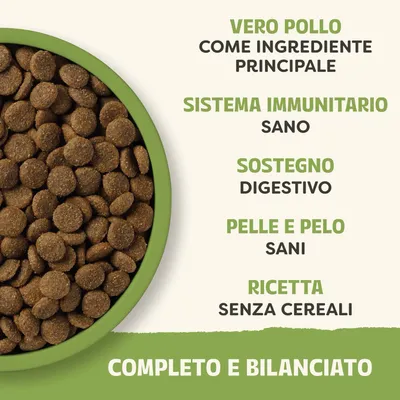 Ciotola con crocchette. Testo: vero pollo come ingrediente principale, sistema immunitario sano, supporto alla digestione, pelle e pelo sani, ricetta senza cereali, completa e bilanciata. Ciotola con crocchette. Testo: vero pollo come ingrediente principale, sistema immunitario sano, supporto alla digestione, pelle e pelo sani, ricetta senza cereali, completa e bilanciata.
