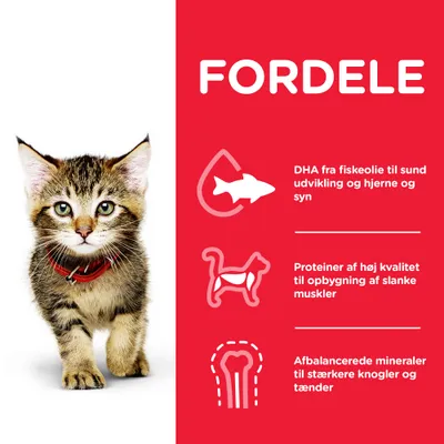 FORDELE: DHA fra fiskeolie til sund udvikling og hjerne og syn. Proteiner af høj kvalitet til opbygning af slanke muskler. Afbalancerede mineraler til stærkere knogler og tænder.