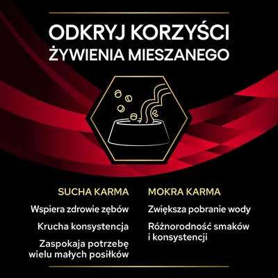Odkryj korzyści żywienia mieszanego: sucha karma wspiera zdrowie zębów, krucha konsystencja, wiele małych posiłków; mokra karma zwiększa pobranie wody, różnorodność smaków i konsystencji.