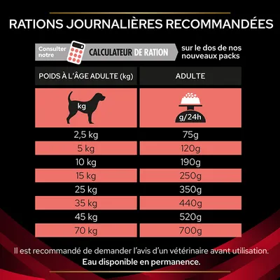 Tableau des rations journalières recommandées pour chiens adultes : 2,5 kg 75g, 5 kg 120g, 10 kg 190g, 15 kg 250g, 25 kg 350g, 35 kg 440g, 45 kg 520g, 70 kg 700g. Eau disponible en permanence.