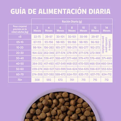 Tabla de alimentación: Ración diaria recomendada en gramos según el peso corporal y la edad en meses, desde menos de 5 kg hasta más de 70 kg, edades de 2 a 14 meses.