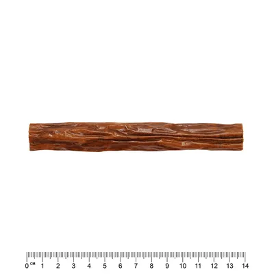 Rjav žvečilni prigrizek v obliki palice, dolžina približno 14 cm, z merilom za prikaz velikosti.