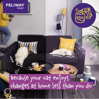Image shows a cat stressed on a messy sofa during home changes and relaxed on a tidy sofa, with text: 'Because your cat enjoys changes at home less than you do.'