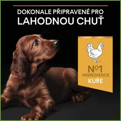 Text: Dokonale připravené pro lahodnou chuť. No1 ingredience kuře. Ilustrace kuřete a ležící hnědý pes na černém pozadí.
