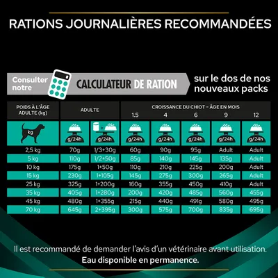 Tableau des rations journalières recommandées pour chiens selon poids adulte et âge du chiot, en grammes par 24h. Conseils vétérinaires et eau disponible en permanence indiqués.