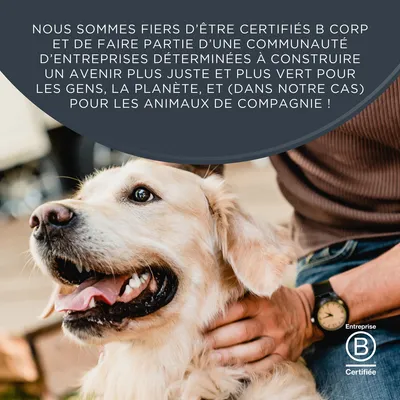 Lot mixte Encore en gelée 5 x 100 g sachets pour chien