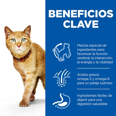Beneficios clave: mezcla especial de ingredientes para la función cerebral, interacción, energía y vitalidad; ácidos grasos omega-3 y omega-6; ingredientes fáciles de digerir.