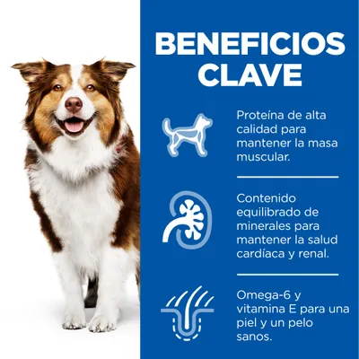 Beneficios clave: proteína de alta calidad para masa muscular, minerales equilibrados para salud cardíaca y renal, omega-6 y vitamina E para piel y pelo sanos.