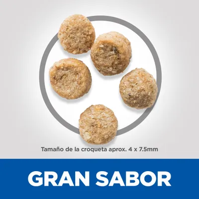 Cinco croquetas redondas. Texto: Tamaño de la croqueta aprox. 4 x 7,5 mm. Gran sabor.